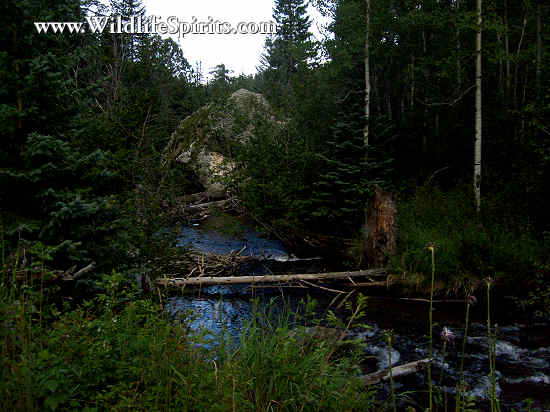 Click Picture to send as an  E-PostCard 68k 550x412